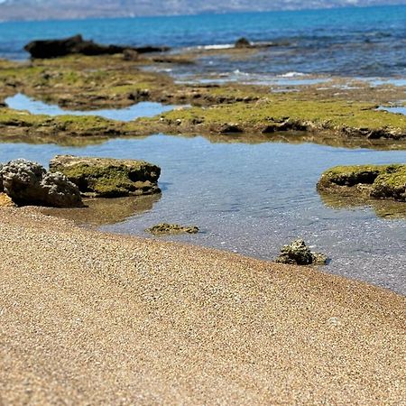 Lu Mari Case Vacanze Balestrate Kültér fotó