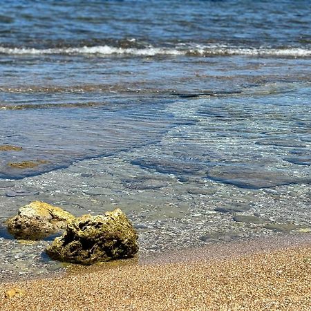 Lu Mari Case Vacanze Balestrate Kültér fotó